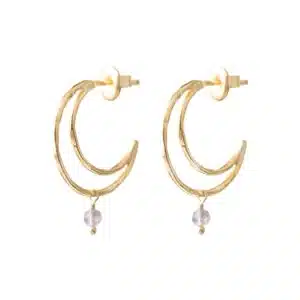 Cheery Labradorite Earrings GP