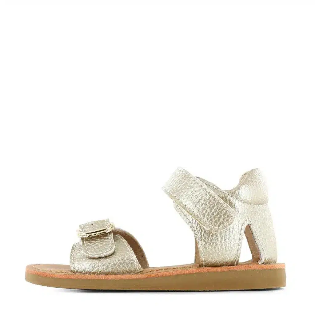 Classic Sandal - Gold