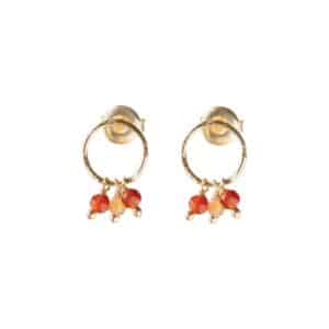 Genuine Carnelian Citrine Earrings GP