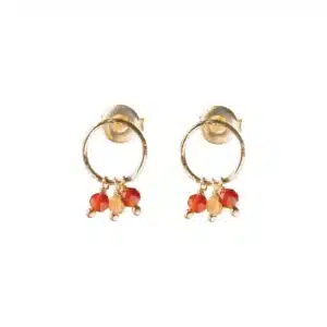 Genuine Carnelian Citrine Earrings GP