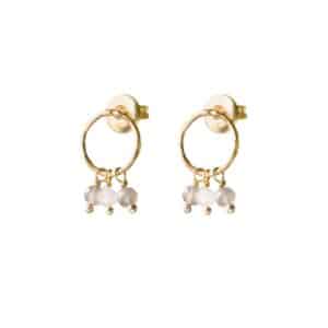 Genuine Labradorite Moonstone Earrings GP