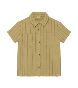 Shirt Small Stripe - Pale Olive Green
