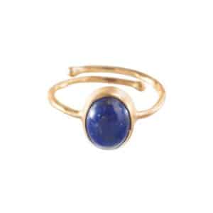 Visionary Lapis Lazuli Ring GP