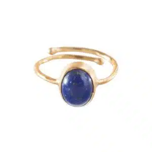 Visionary Lapis Lazuli Ring GP