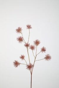 Albizia Spray 86cm
