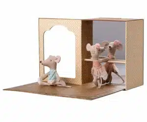 Ballet muizen in dansstudio