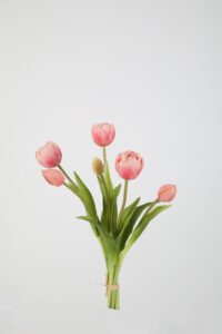 Bosje Tulpen - Licht roze