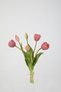 Bosje tulpen - Lila