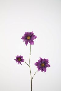 Clematis Spray 89cm