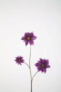 Clematis Spray 89cm