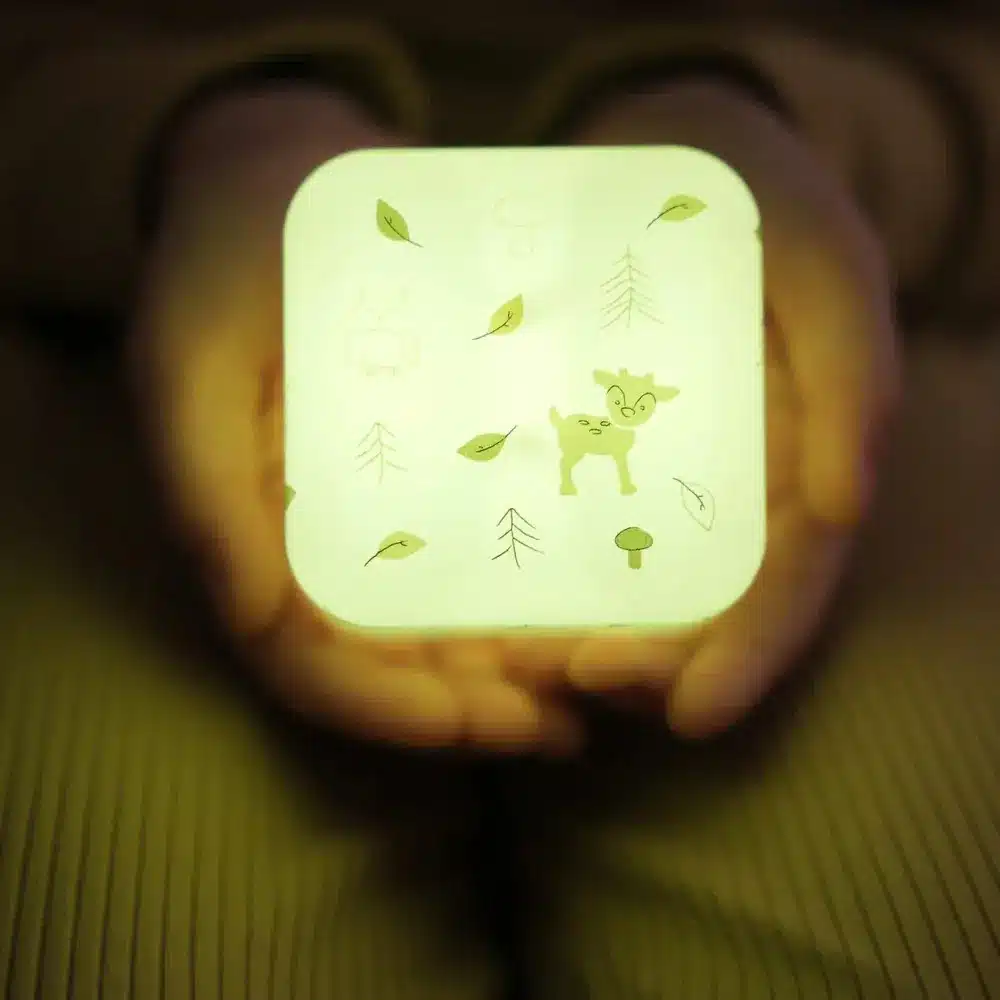 CLOUD-B - Cube B - Forest