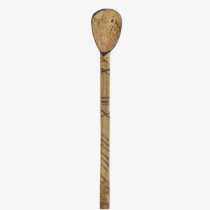 Coconut Spoon