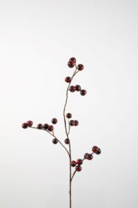 Crab Apple 97cm
