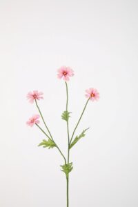 Daisy Spray 64cm
