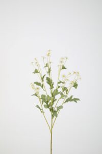 Daisy Spray 66cm