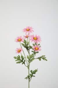 Daisy Spray 70cm