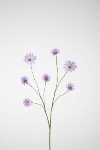 Daisy Spray 89cm