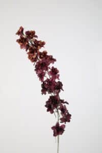 Delphinium Stem 110cm