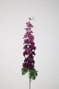 Delphinium Stem