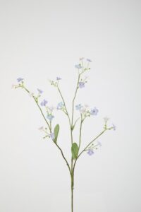 Forget Me Not 73cm