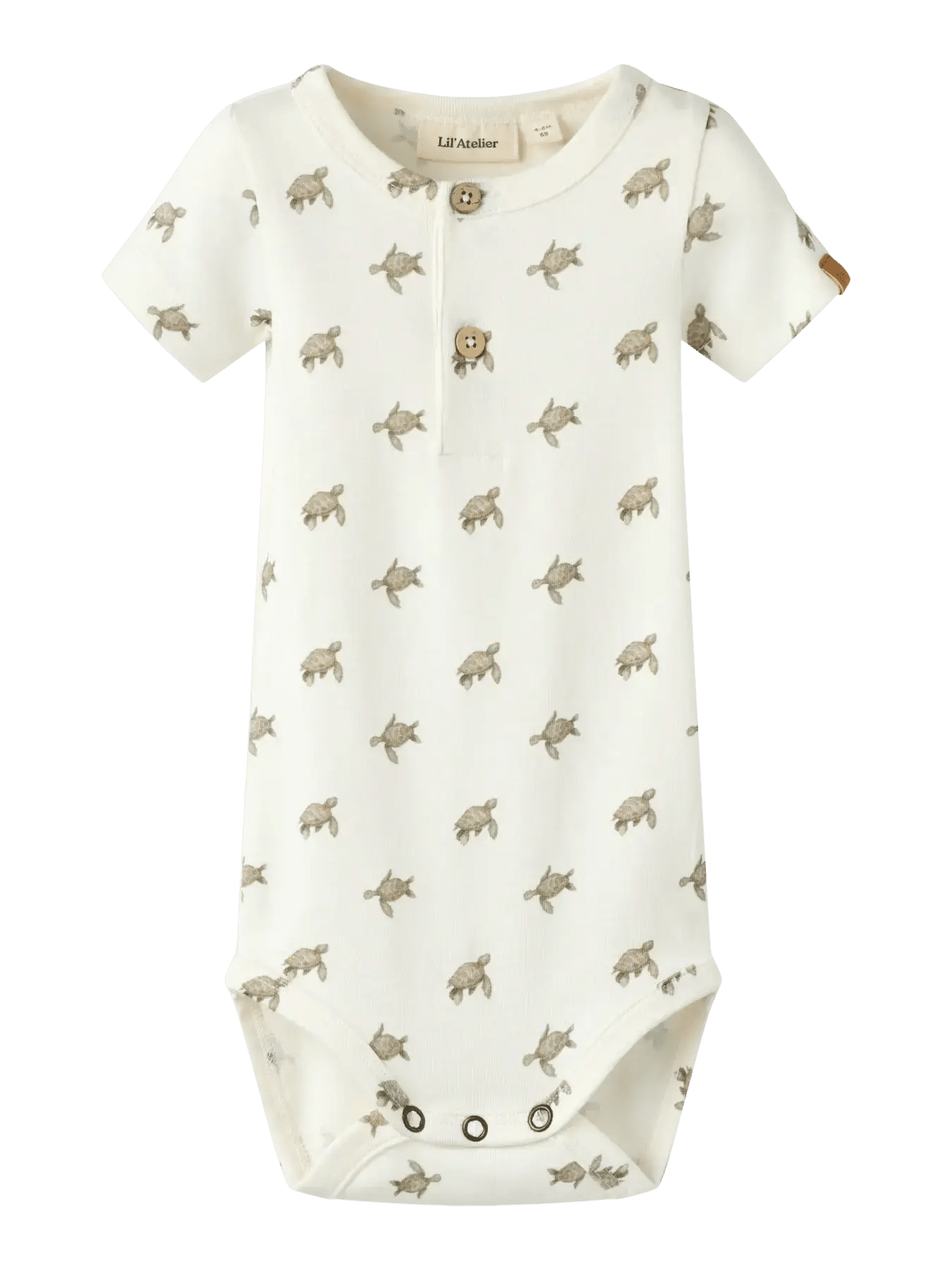 Gayo Sar SS Slim Body – Coconut Milk Turtle