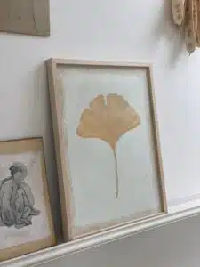 Gingko Biloba in eikenhouten lijst - 30x40 cm