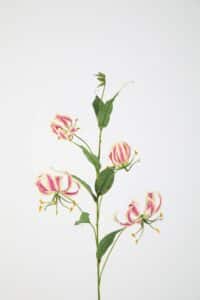 Gloriosa Spray - 86cm