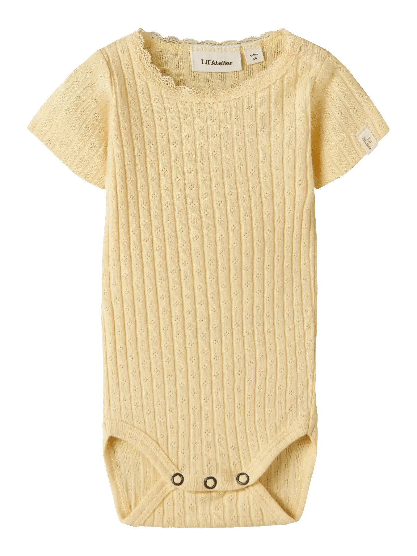 Haldis SS Slim Body – Sunlight