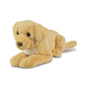 Labrador