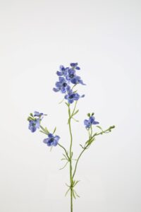Larkspur Spray 85cm