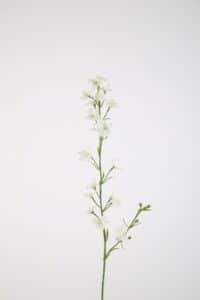 Larkspur Spray 87cm
