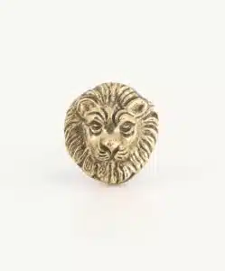 Lovesome Lion Knob