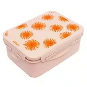 Lunchbox Sunny + divider