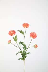 Mum Pompon Stem 71cm