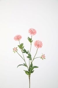Mum Pompon Stem 71cm