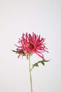 Mum Spray 59cm