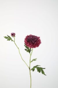 Mum Spray 71cm