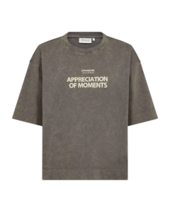 Muse Tee - Vintage Khaki w, Frozen Dew