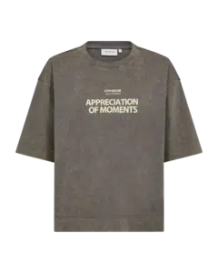 Muse Tee - Vintage Khaki w, Frozen Dew