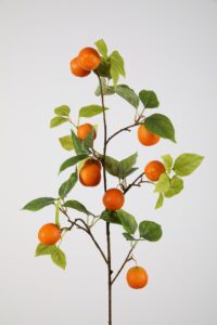 Orange Spray x10 - 89cm