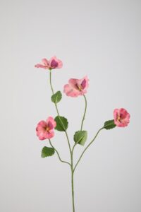 Pansy Spray W/4 flrs 67cm