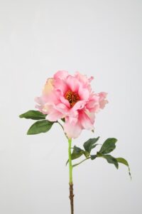 Peony Spray 55cm