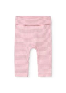 Pink Stripe – Piva 0M/50