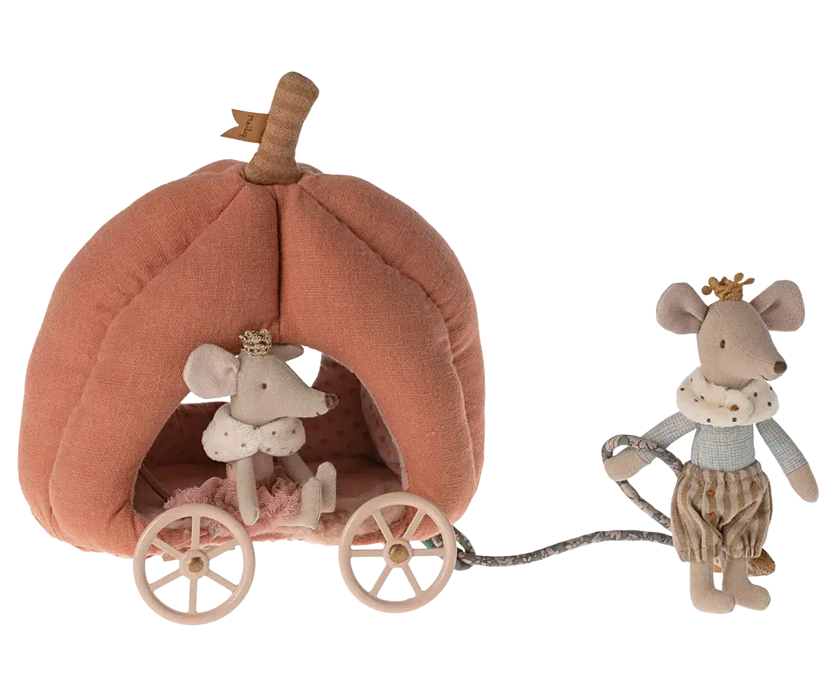 Pompoen koets