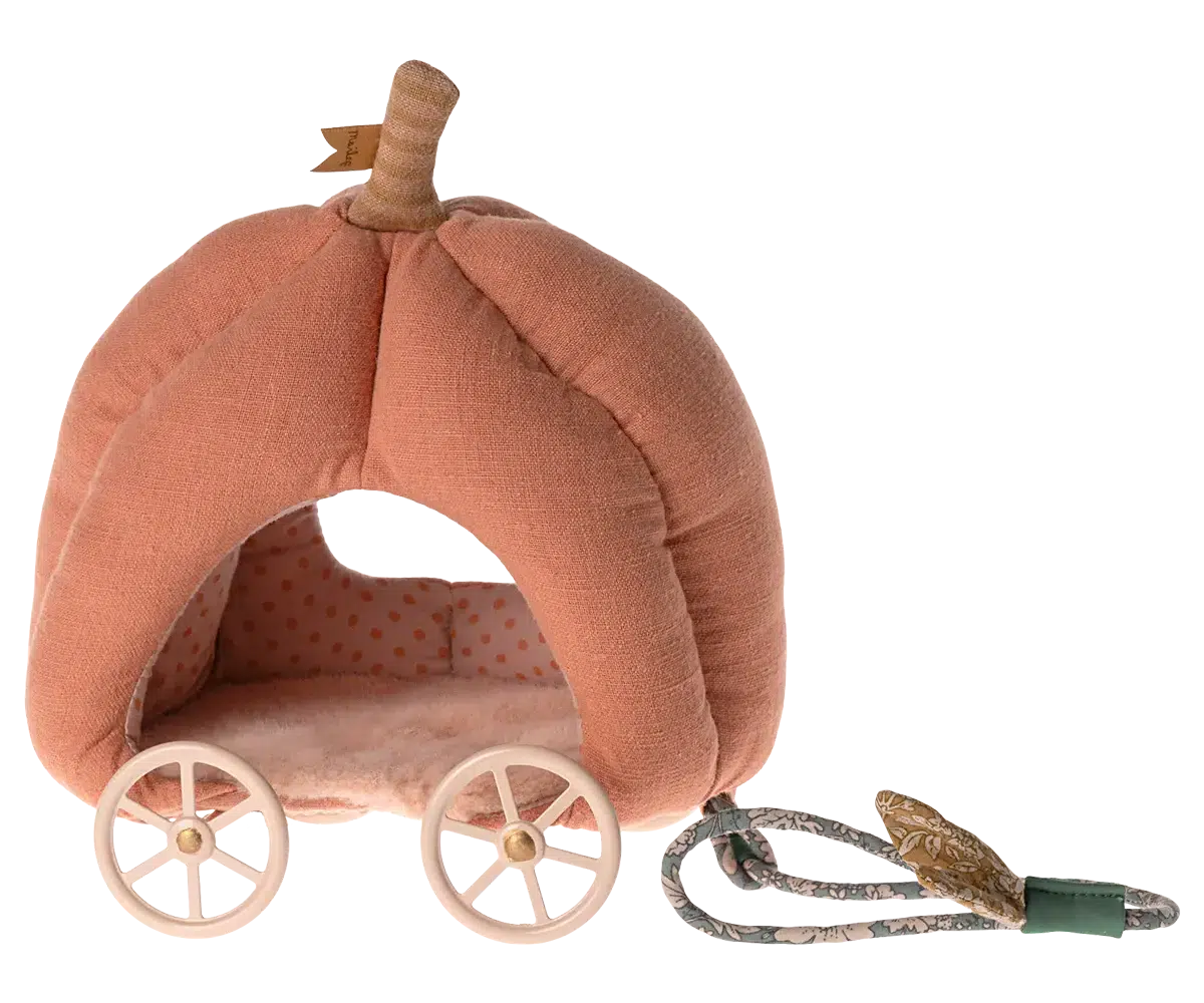 Pompoen koets