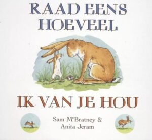 Raad eens - luxe kartonboekje