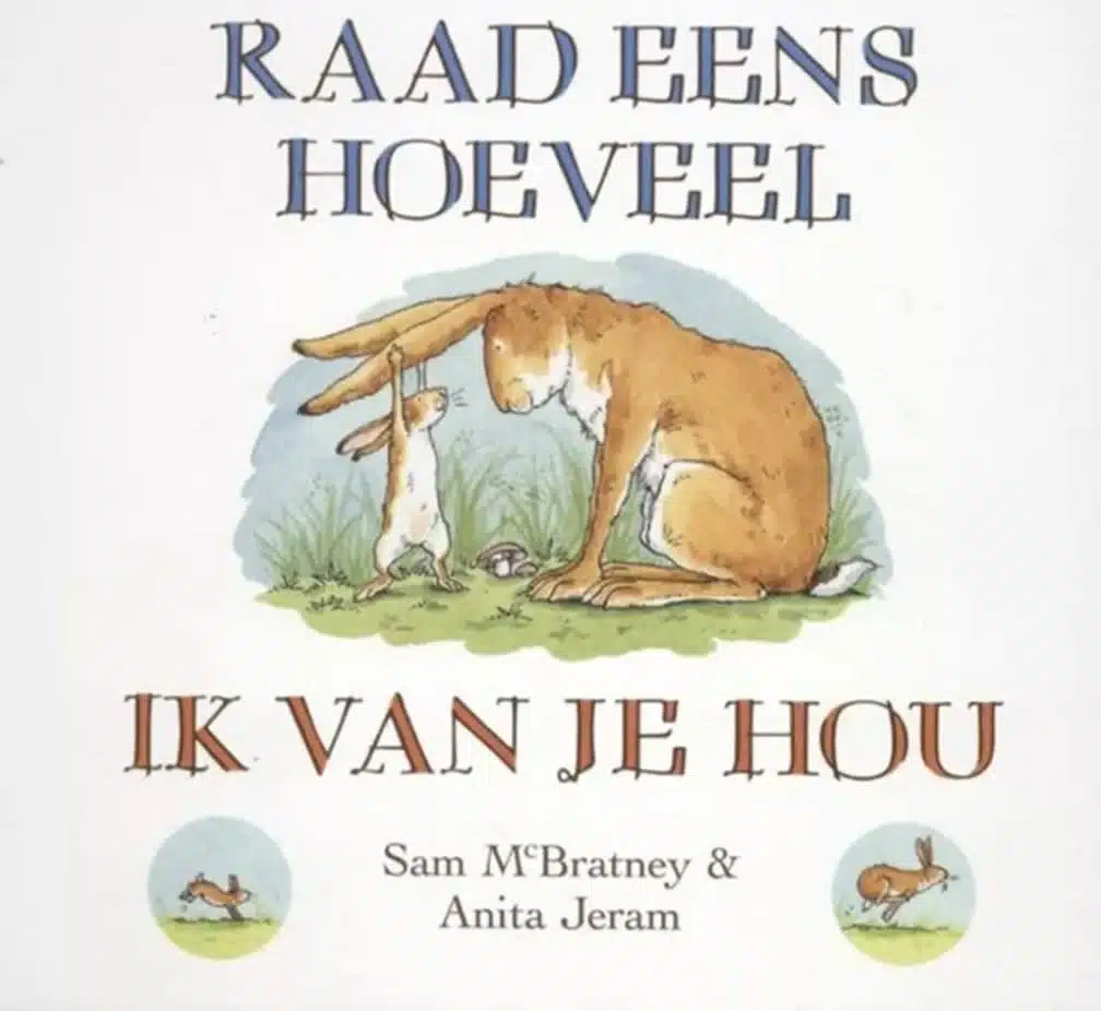 Raad eens - luxe kartonboekje