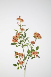 Rose Spray 104cm