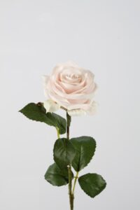 Rose Stem lichtroze - 54cm