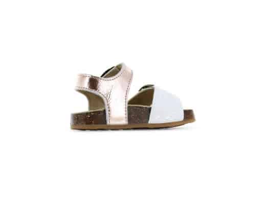 Sandaal Basic - Champagne Gold